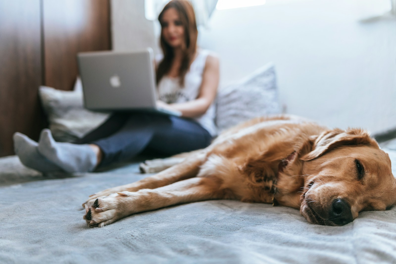 Caring for Your Furry Friends: A Complete Guide to Choosing Pet Insurance